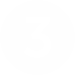 3 3